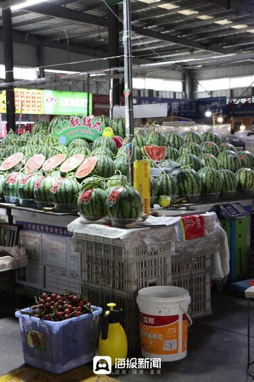 今日甜王瓜价格行情,价格波动背后的市场动态解析