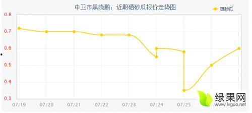 宁夏硒砂瓜今日行情走势,今日走势解析”