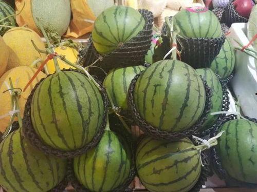 黑球吃瓜,揭秘娱乐圈背后的秘密与真相