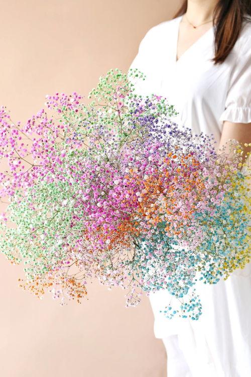 明星网红满天星,网红满天星引领潮流风尚