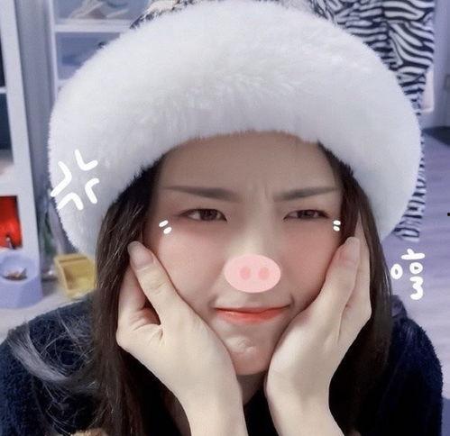 明星网红满天星,网红满天星引领潮流风尚