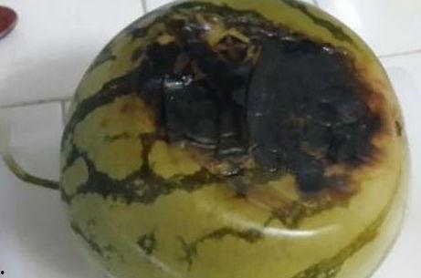 最新吃瓜黑料黑历史,当红明星的惊人黑料与不为人知的过往