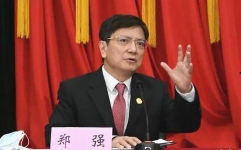 郑强说明星网红,星网红背后的秘密与真相