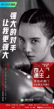 明星网红单身文案素材,揭秘单身界的时尚潮流