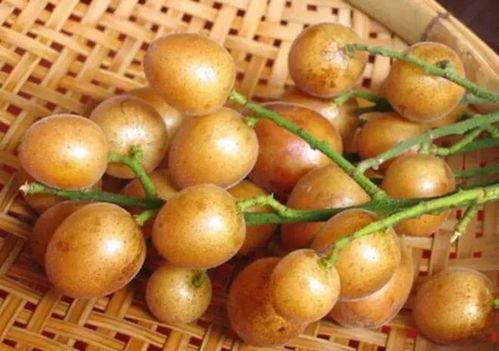 黄皮吃瓜直播热门,揭秘娱乐圈幕后风云