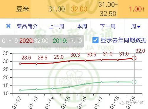 毛瓜今日价格行情走势,今日行情走势解析