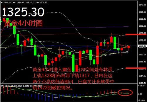 乳瓜今日行情走势最新图,今日走势解析