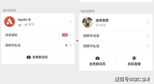 王瓜店今日视频直播回放,带你领略现场魅力