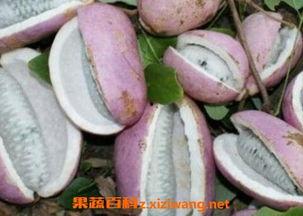 黑老虎八月瓜一起吃,养生美食新体验”