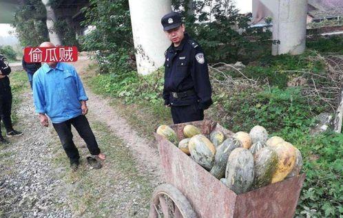 魏县热门吃瓜事件真相,真相背后的惊人内幕