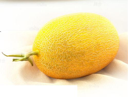 哈密瓜安徽价格今日价,新鲜上市，价格亲民！”