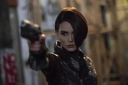 2024最火明星网红,盘点最火明星网红风云榜