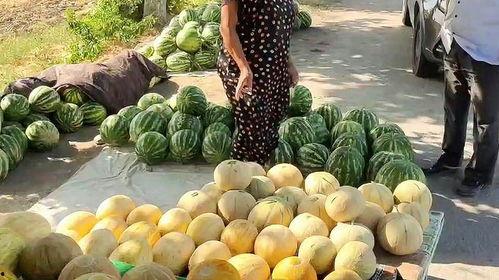 曹县吃瓜热门事件,一场网络狂欢背后的真相与反思