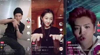 抓捕明星网红视频播放,视频播放引发热议