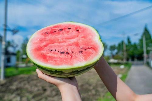 西的一瓜热门作品,揭秘网络红人的崛起之路