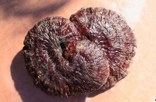 流产后吃黑瓜,助康复养生的天然选择