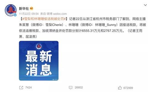 明星网红逃税分析图片,揭开娱乐圈税务黑洞的真相