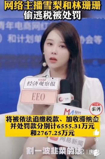 明星网红逃税分析图片,揭开娱乐圈税务黑洞的真相