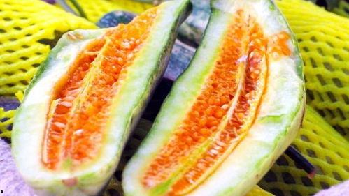 热门吃瓜网站晨曦,揭秘娱乐圈最新热点，吃瓜群众必看！