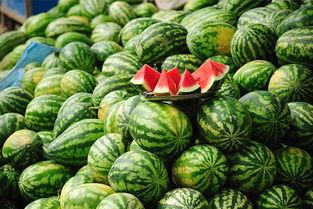 热门吃瓜网站晨曦,揭秘娱乐圈最新热点，吃瓜群众必看！