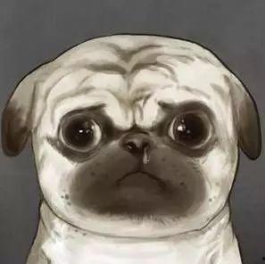 吾皇巴扎黑吃瓜,吃瓜群众的欢乐盛宴