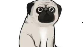 吾皇巴扎黑吃瓜,吃瓜群众的欢乐盛宴