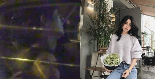 黑历史网红吃瓜,吃瓜群众眼中的娱乐圈风云