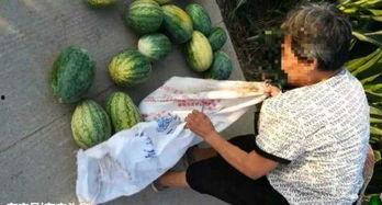 南宁近期热门吃瓜事件,最新“瓜王”事件揭秘，网友热议不断！