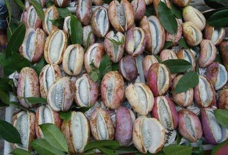 八月瓜热门文案怎么写,探寻自然之宝，品味健康生活新风尚