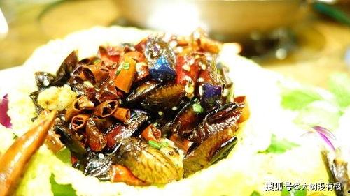 瓜黑椿可以吃,探寻美味与营养的完美结合