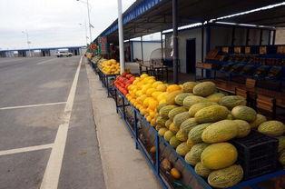 让瓜州老凤祥上热门,传承匠心，引领时尚潮流，助力品牌上热门