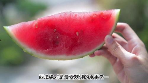 血糖高可以吃黑瓜吗,黑瓜的适宜性探讨