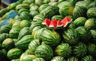 田坤道吃瓜黑料,揭秘吃瓜黑料背后的真相