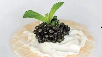 黑料吃瓜zhangjingyu,张静瑜的争议人生