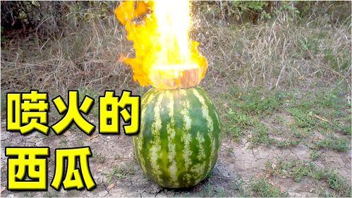 最新热门大瓜,某明星恋情曝光，背后真相令人震惊！