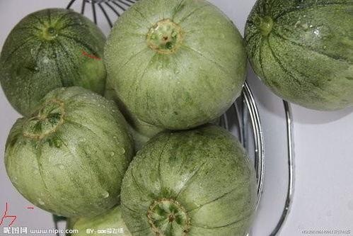 今日产地蒲瓜价格多少,涨跌各异，市场动态一览