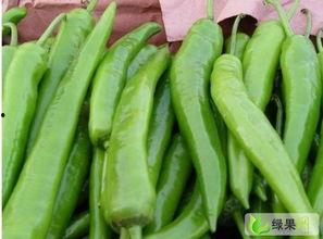 今日产地蒲瓜价格多少,涨跌各异，市场动态一览