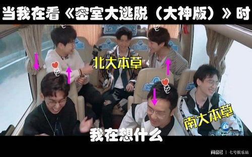 密室大逃脱明星网红,智慧与勇气的极限对决