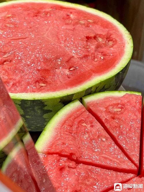 今日麒麟无籽瓜最新价格,品质之选，价格亲民！”