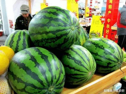 热门的瓜广告牌子,揭秘热门广告牌背后的秘密