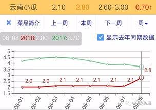 今日小瓜走势图表最新,今日行情一览，洞察市场动态