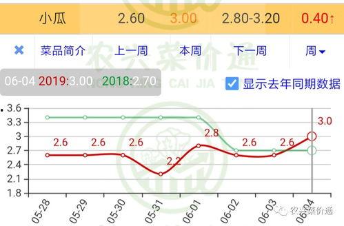 今日小瓜走势图表最新,今日行情一览，洞察市场动态