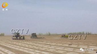 瓜州西湖镇今日新闻,聚焦乡村振兴，共绘美好家园新画卷