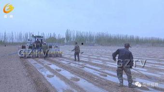 瓜州西湖镇今日新闻,聚焦乡村振兴，共绘美好家园新画卷