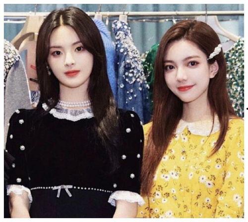 去看明星网红的说说,揭秘粉丝围观背后的故事