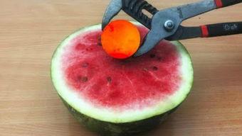 奇趣百科热门大瓜,揭秘网络热点的背后真相