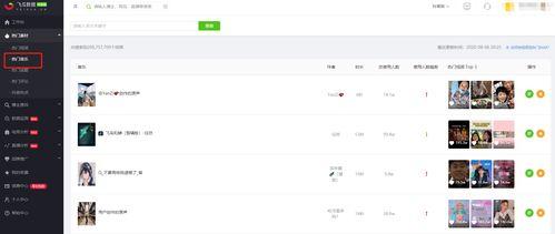 飞瓜数据上的热门音乐,热门音乐榜单背后的热门旋律与故事