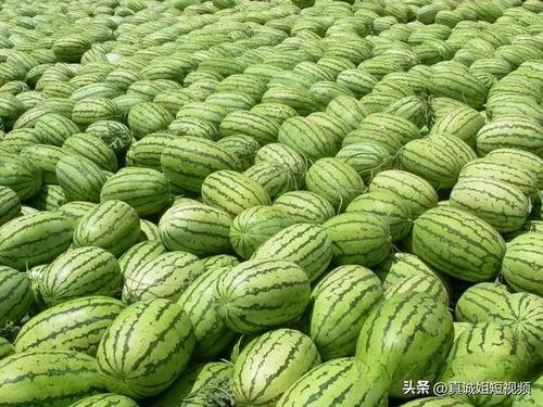 今日吃瓜热门大瓜首页,揭秘娱乐圈最新重磅事件！