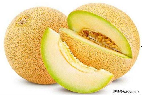 热门哈密瓜种子,热门种子品种大盘点