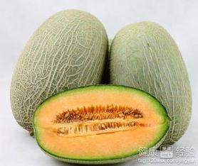 黑兔可以吃哈密瓜吗有毒吗,黑兔食用哈密瓜的安全性探讨